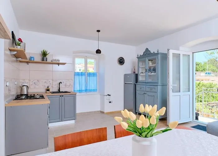 Pino 1 베리로신즈